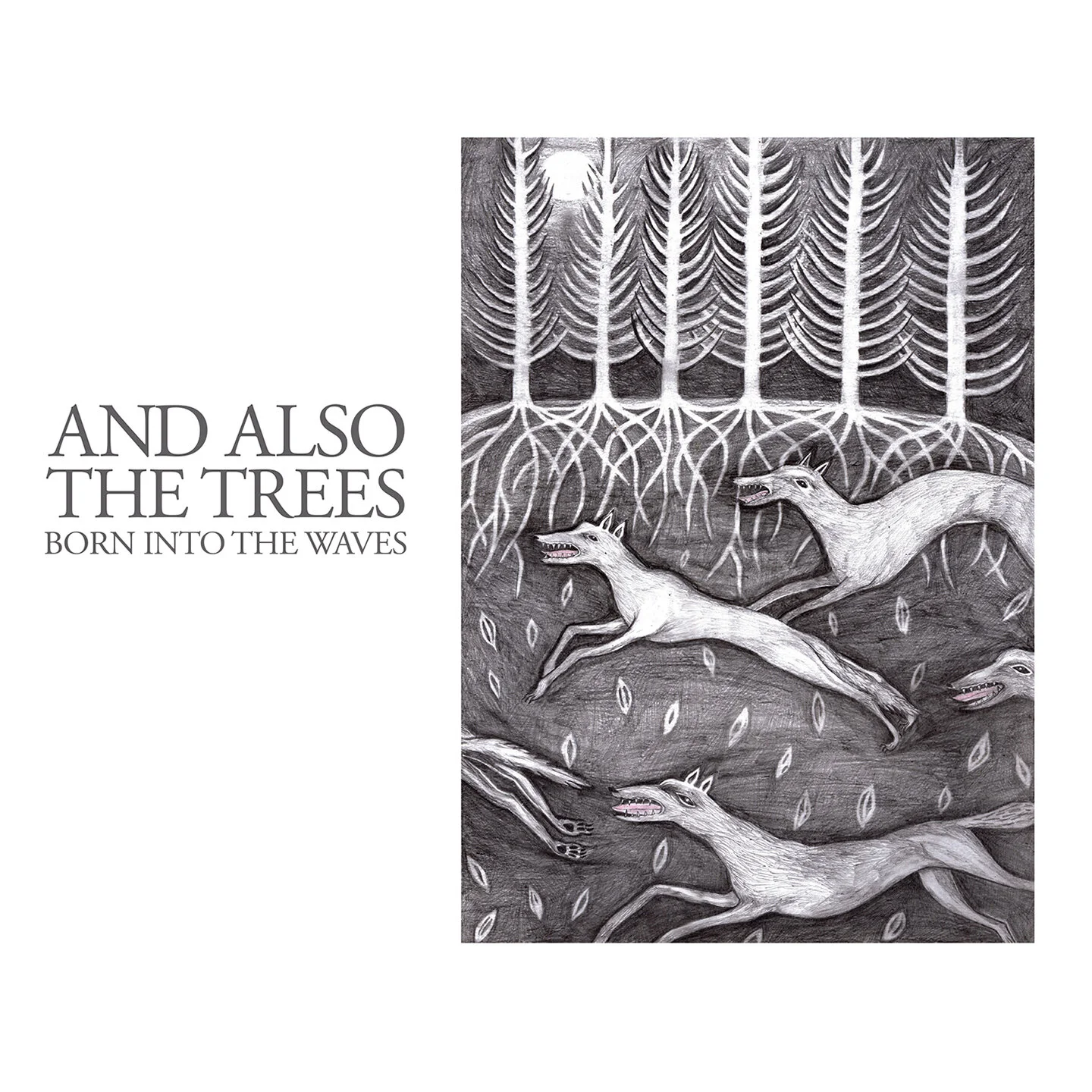 And Also The Trees - Online Shop — And Also The Trees
